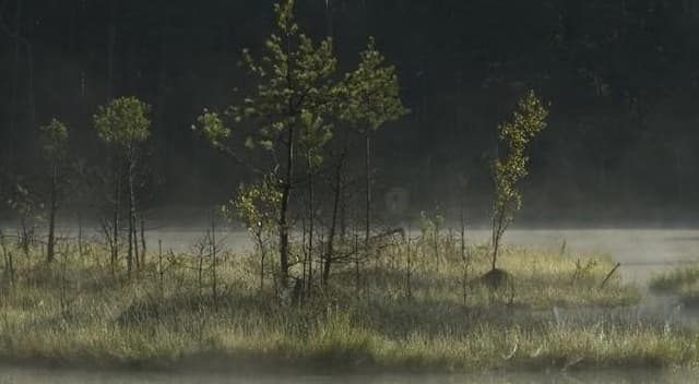 Rezerwat Zakręt - Splywy.pl