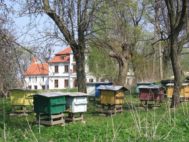 Bogatyńskie - Splywy.pl
