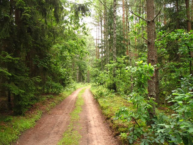 Szlak rowerowy Pętla Bełdany - Splywy.pl