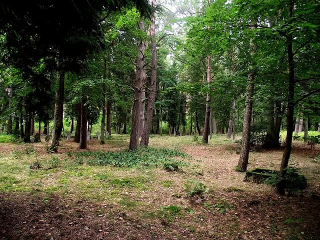 Karwik - Splywy.pl