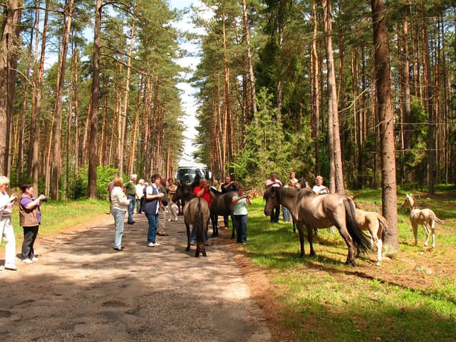 Muzeum i stacja badawcza PAN w Popielnie - Splywy.pl