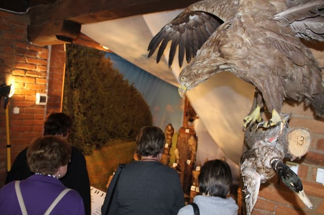 Muzeum i stacja badawcza PAN w Popielnie - Splywy.pl