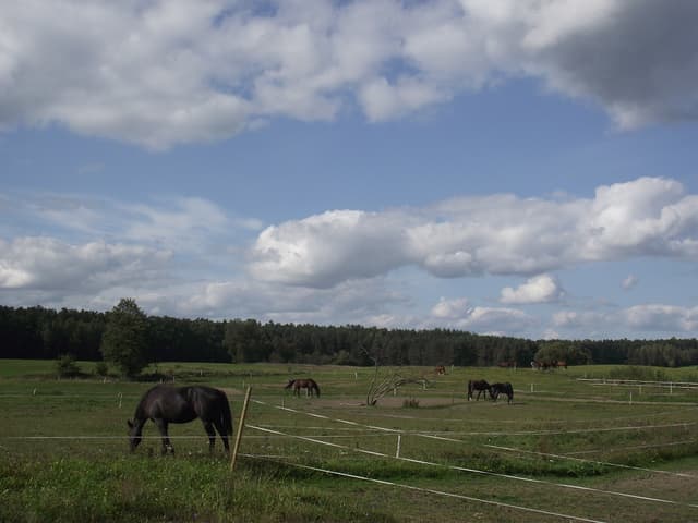 Gałkowo - Splywy.pl