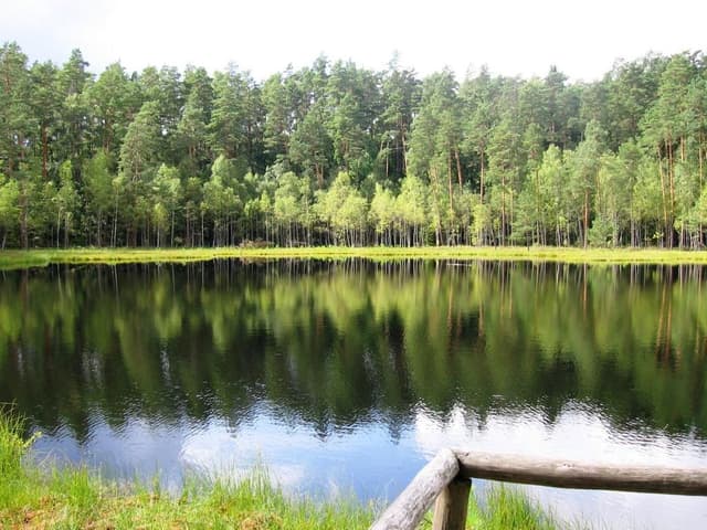 Szlak pieszy im. Karola Małłka - Splywy.pl