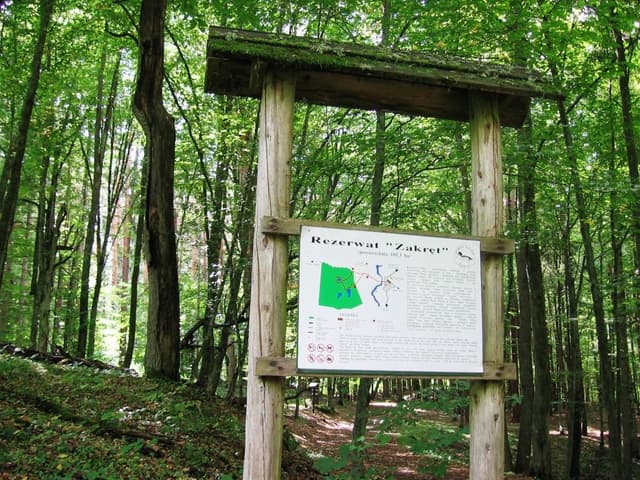 Szlak pieszy im. Karola Małłka - Splywy.pl