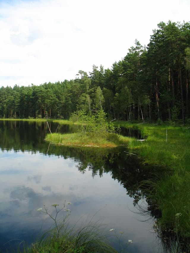 Szlak pieszy im. Karola Małłka - Splywy.pl
