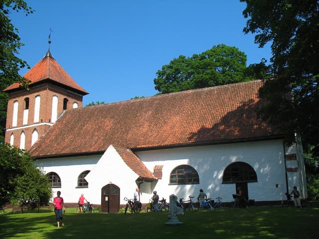Lasy Sorkwickie - Splywy.pl