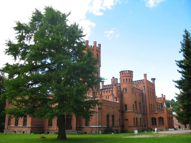 Lasy Sorkwickie - Splywy.pl