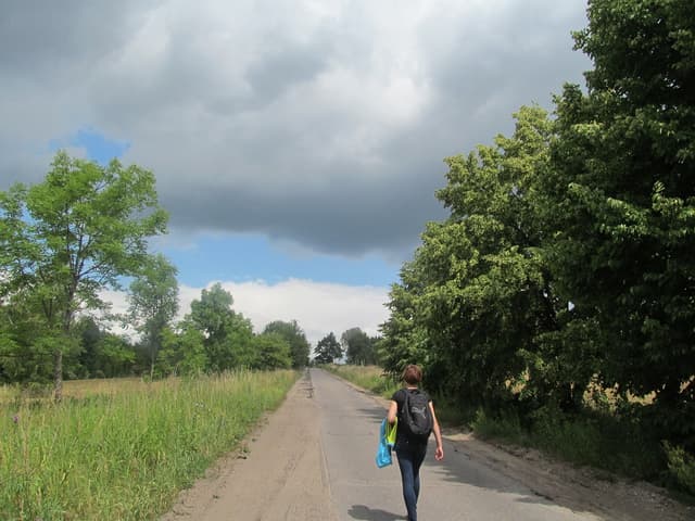 Szlak pieszy Góra Czterech Wiatrów - Splywy.pl