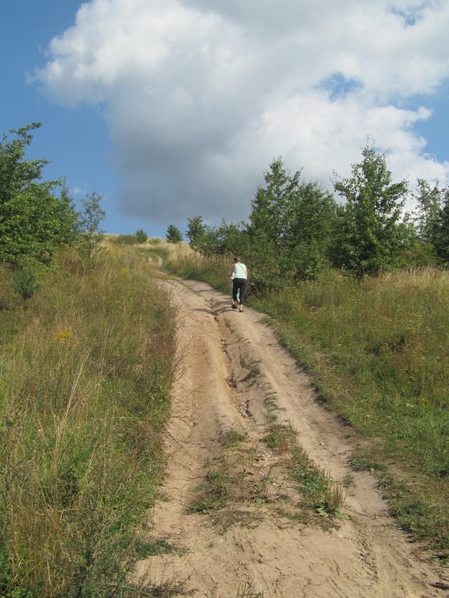 Szlak pieszy Góra Czterech Wiatrów - Splywy.pl