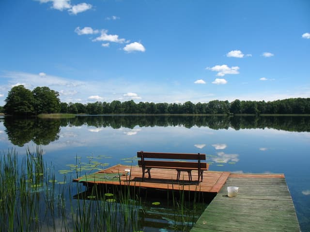 Szlak rowerowy Lasy Sorkwickie - Splywy.pl