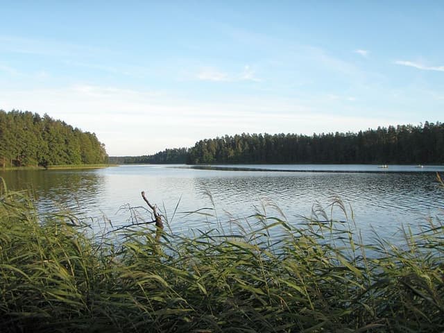 Rospuda Augustowska - Splywy.pl