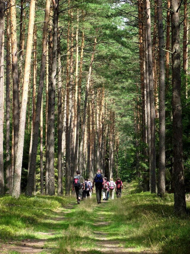 Puszcza Piska - Splywy.pl