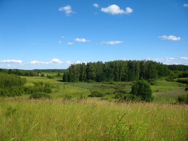 Duża Pętla Mrągowska - Splywy.pl