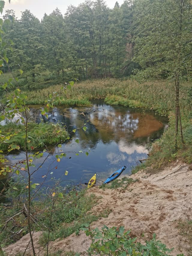 Meandry Czarnej Hańczy w słońcu