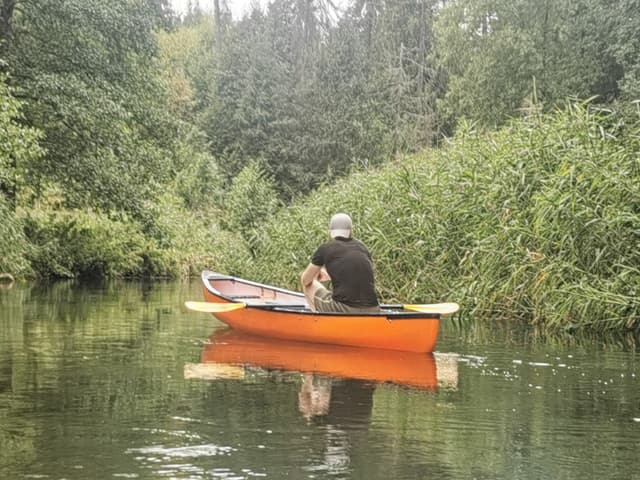 Meandry Czarnej Hańczy wśród trzcinowisk – ostoja ptactwa wodnego w Wigierskim Parku Narodowym.