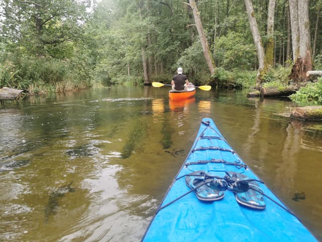 Kajakarze na spokojnym nurcie Czarnej Hańczy w otoczeniu lasu