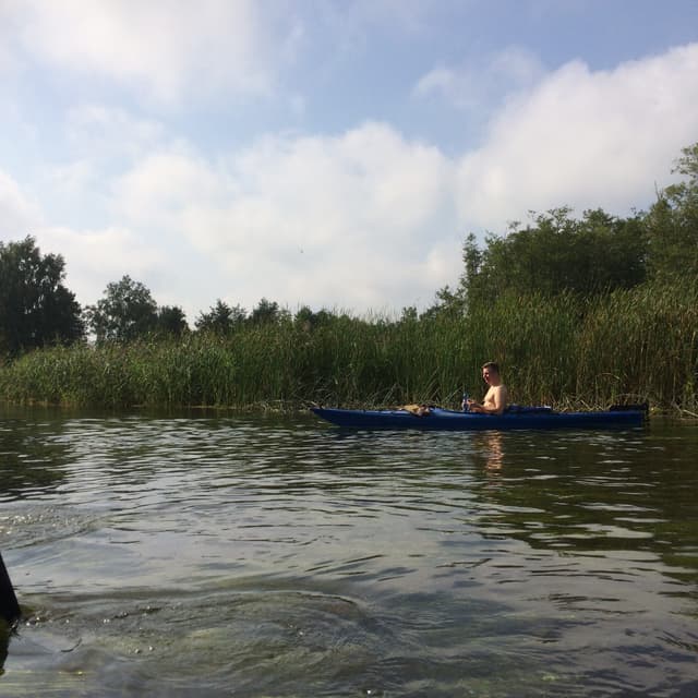 Trzcinowiska na trasie Maćkowa Ruda - Sarnetki 