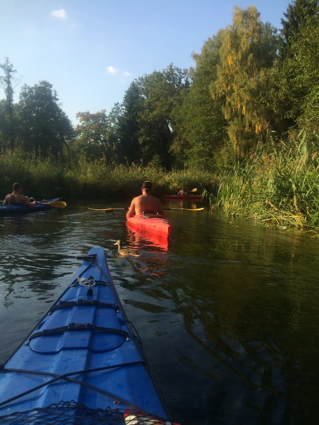 kajakarze na szlaku Czarna Hańcza Nieopodal Augustowa