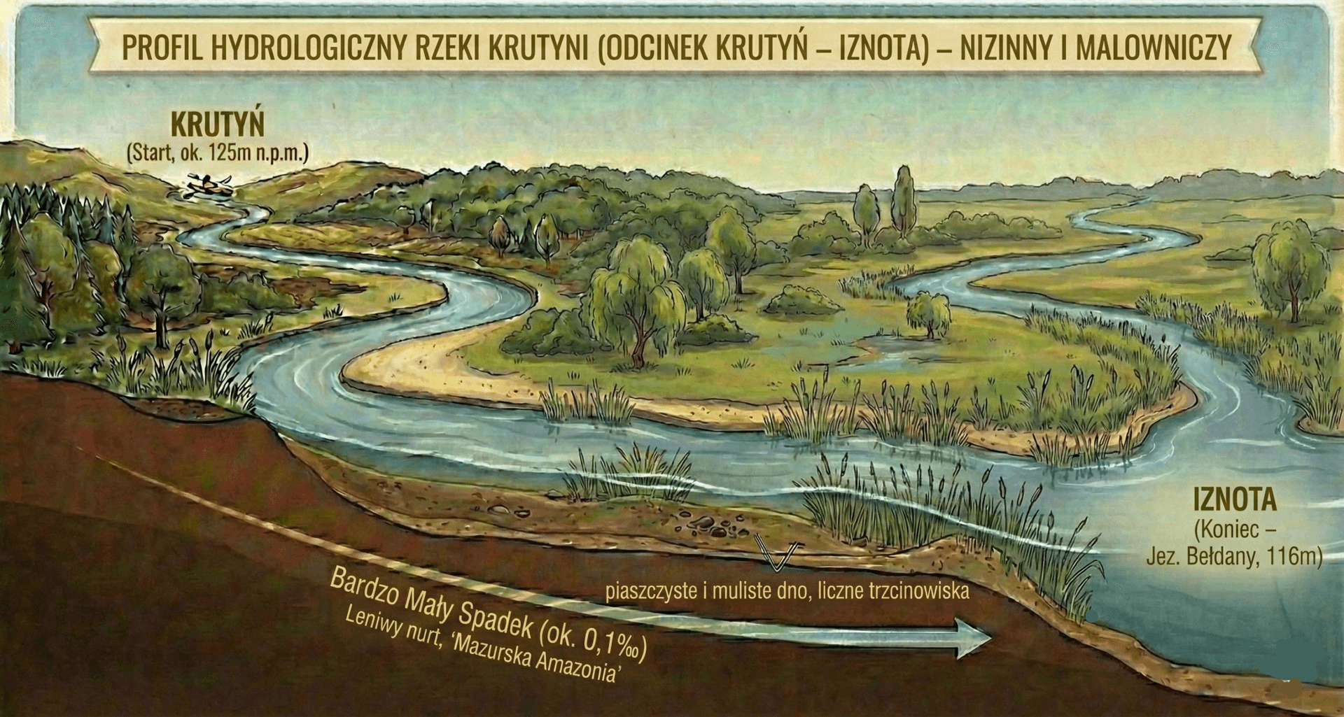 Profil hydrologiczny rzeki Krutynia na odcinku Krutyń - Iznota