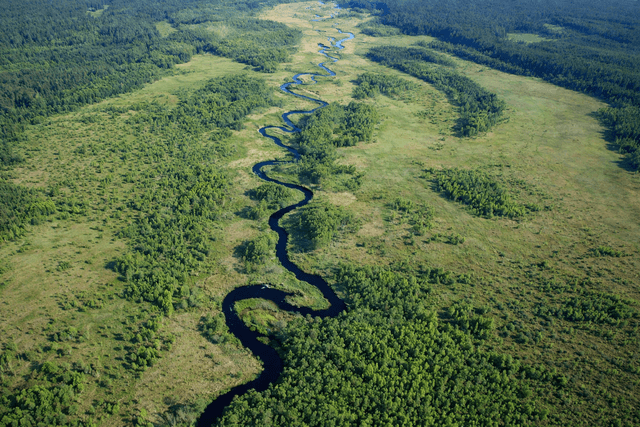 Dolina Rospudy z lotu ptaka