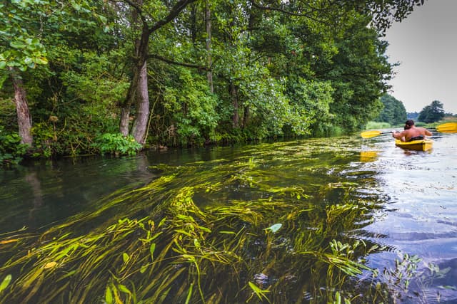 Spływ kajakowy doliną Rospudy
