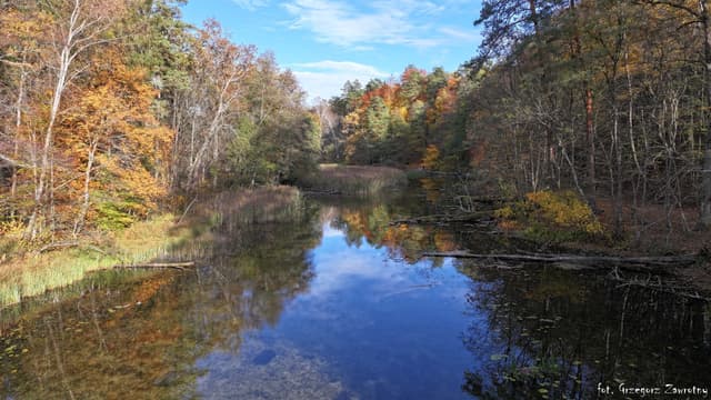 Rzeka Krutynia jesienią.
