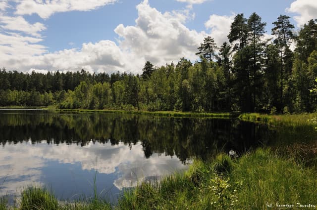 cudowny spokój i flauta nad jeziorem Krutyńskim