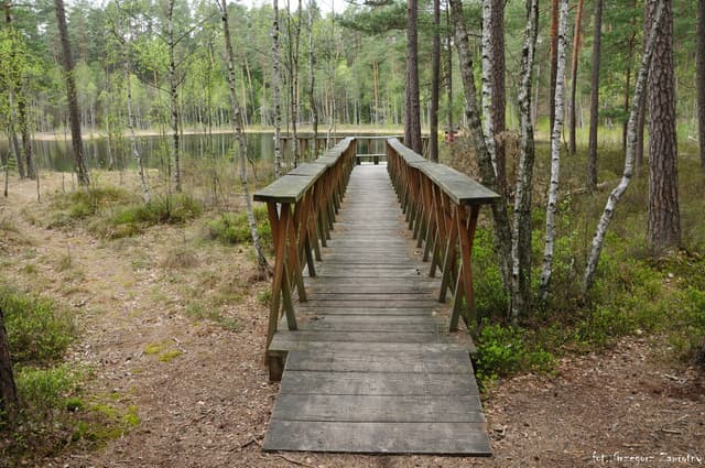 Pomost widokowy w rezerwacie Zakręt - Mazurski Park Krajobrazowy.
