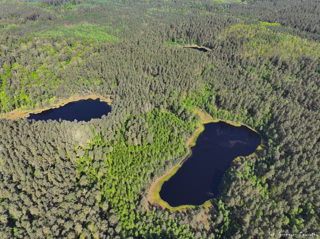Jeziora dystroficzne rezerwat zakręt - okolice Krutyni.
