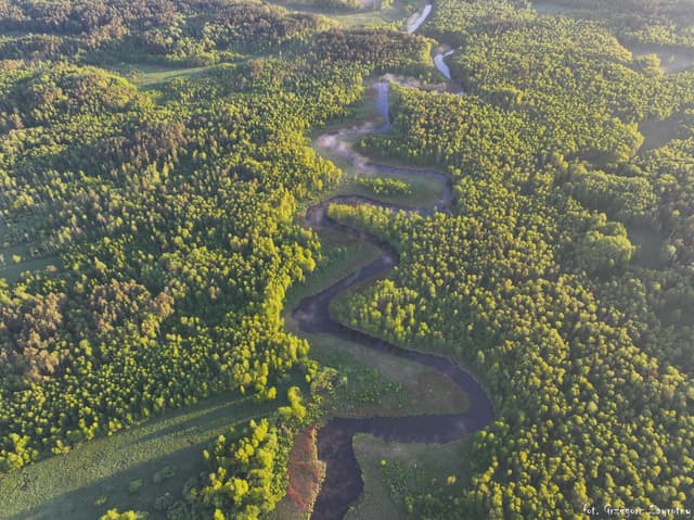 Meandry rzeki Krutynia na odcinku Ukta - Nowy Most