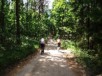 Szlak rowerowy Lasy Sorkwickie